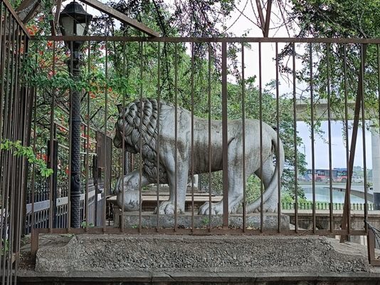 statues-of-medici-lions-in-pune,-india