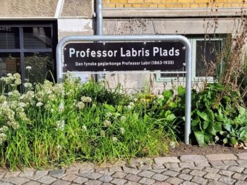 professor-labris-plads-(professor-labri-square)-in-odense,-denmark